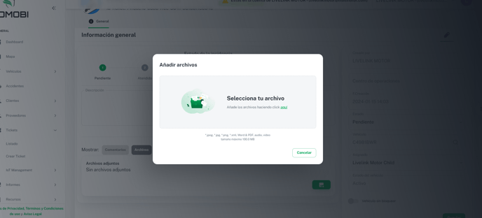 Captura de pantalla 2024-01-25 155737
